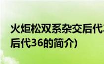 火炬松双系杂交后代36(关于火炬松双系杂交后代36的简介)