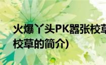 火爆丫头PK嚣张校草(关于火爆丫头PK嚣张校草的简介)