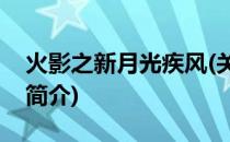 火影之新月光疾风(关于火影之新月光疾风的简介)