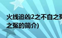 火线追凶2之不白之冤(关于火线追凶2之不白之冤的简介)