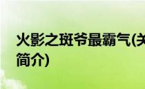 火影之斑爷最霸气(关于火影之斑爷最霸气的简介)