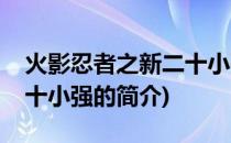 火影忍者之新二十小强(关于火影忍者之新二十小强的简介)