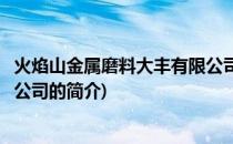 火焰山金属磨料大丰有限公司(关于火焰山金属磨料大丰有限公司的简介)