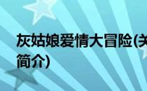 灰姑娘爱情大冒险(关于灰姑娘爱情大冒险的简介)