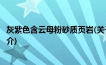 灰紫色含云母粉砂质页岩(关于灰紫色含云母粉砂质页岩的简介)