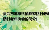 灵武市郝家桥镇郝家桥村老年协会(关于灵武市郝家桥镇郝家桥村老年协会的简介)