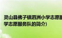 灵山县佛子镇泗洲小学志愿服务队(关于灵山县佛子镇泗洲小学志愿服务队的简介)