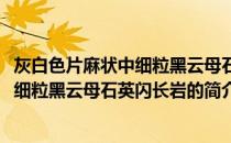 灰白色片麻状中细粒黑云母石英闪长岩(关于灰白色片麻状中细粒黑云母石英闪长岩的简介)