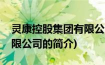 灵康控股集团有限公司(关于灵康控股集团有限公司的简介)