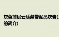 灰色薄层云质条带泥晶灰岩(关于灰色薄层云质条带泥晶灰岩的简介)