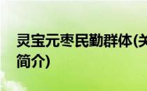 灵宝元枣民勤群体(关于灵宝元枣民勤群体的简介)