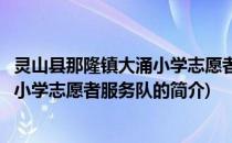 灵山县那隆镇大涌小学志愿者服务队(关于灵山县那隆镇大涌小学志愿者服务队的简介)