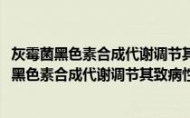 灰霉菌黑色素合成代谢调节其致病性的分子机制(关于灰霉菌黑色素合成代谢调节其致病性的分子机制的简介)