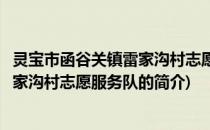 灵宝市函谷关镇雷家沟村志愿服务队(关于灵宝市函谷关镇雷家沟村志愿服务队的简介)