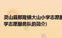 灵山县那隆镇大山小学志愿服务队(关于灵山县那隆镇大山小学志愿服务队的简介)