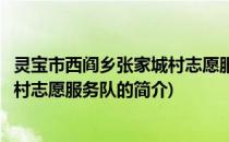 灵宝市西阎乡张家城村志愿服务队(关于灵宝市西阎乡张家城村志愿服务队的简介)