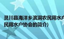 灵川县海洋乡滨洞农民用水户协会(关于灵川县海洋乡滨洞农民用水户协会的简介)