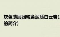 灰色薄层团粒含泥质白云岩(关于灰色薄层团粒含泥质白云岩的简介)