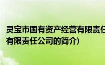 灵宝市国有资产经营有限责任公司(关于灵宝市国有资产经营有限责任公司的简介)