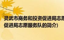 灵武市商务和投资促进局志愿服务队(关于灵武市商务和投资促进局志愿服务队的简介)