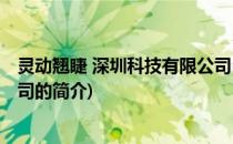 灵动翘睫 深圳科技有限公司(关于灵动翘睫 深圳科技有限公司的简介)