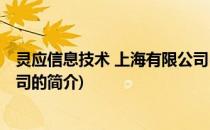 灵应信息技术 上海有限公司(关于灵应信息技术 上海有限公司的简介)