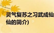 灵气复苏之习武成仙(关于灵气复苏之习武成仙的简介)