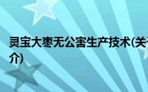 灵宝大枣无公害生产技术(关于灵宝大枣无公害生产技术的简介)