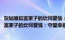 灰姑娘和富家子的坎坷爱情：守望幸福的微光(关于灰姑娘和富家子的坎坷爱情：守望幸福的微光的简介)