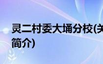 灵二村委大埇分校(关于灵二村委大埇分校的简介)