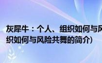 灰犀牛：个人、组织如何与风险共舞(关于灰犀牛：个人、组织如何与风险共舞的简介)