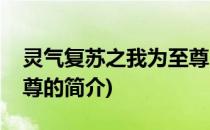 灵气复苏之我为至尊(关于灵气复苏之我为至尊的简介)