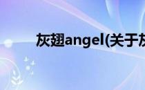 灰翅angel(关于灰翅angel的简介)