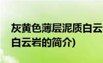 灰黄色薄层泥质白云岩(关于灰黄色薄层泥质白云岩的简介)