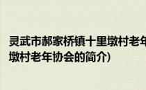 灵武市郝家桥镇十里墩村老年协会(关于灵武市郝家桥镇十里墩村老年协会的简介)