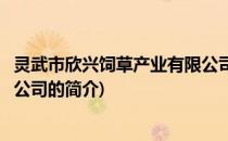 灵武市欣兴饲草产业有限公司(关于灵武市欣兴饲草产业有限公司的简介)