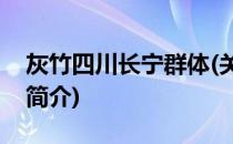 灰竹四川长宁群体(关于灰竹四川长宁群体的简介)