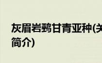 灰眉岩鹀甘青亚种(关于灰眉岩鹀甘青亚种的简介)