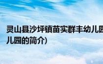 灵山县沙坪镇苗实群丰幼儿园(关于灵山县沙坪镇苗实群丰幼儿园的简介)