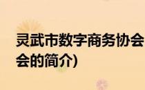 灵武市数字商务协会(关于灵武市数字商务协会的简介)