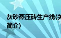 灰砂蒸压砖生产线(关于灰砂蒸压砖生产线的简介)