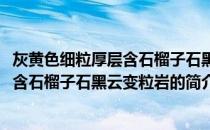 灰黄色细粒厚层含石榴子石黑云变粒岩(关于灰黄色细粒厚层含石榴子石黑云变粒岩的简介)