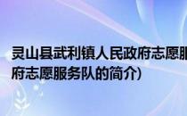 灵山县武利镇人民政府志愿服务队(关于灵山县武利镇人民政府志愿服务队的简介)