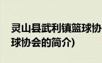 灵山县武利镇篮球协会(关于灵山县武利镇篮球协会的简介)