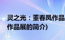 灵之光：董春凤作品展(关于灵之光：董春凤作品展的简介)