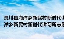 灵川县海洋乡新民村新时代讲习所志愿服务队(关于灵川县海洋乡新民村新时代讲习所志愿服务队的简介)