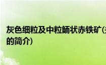 灰色细粒及中粒鲕状赤铁矿(关于灰色细粒及中粒鲕状赤铁矿的简介)