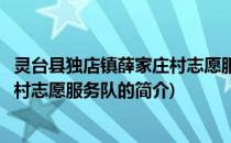 灵台县独店镇薛家庄村志愿服务队(关于灵台县独店镇薛家庄村志愿服务队的简介)