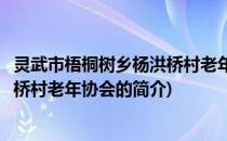 灵武市梧桐树乡杨洪桥村老年协会(关于灵武市梧桐树乡杨洪桥村老年协会的简介)