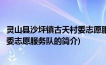 灵山县沙坪镇古天村委志愿服务队(关于灵山县沙坪镇古天村委志愿服务队的简介)